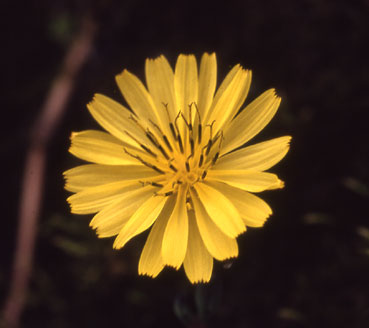 b0057679_8432879.jpg