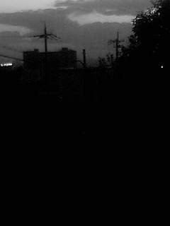 f0100480_206287.jpg