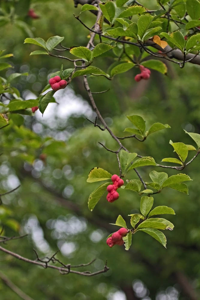 a0083081_155478.jpg