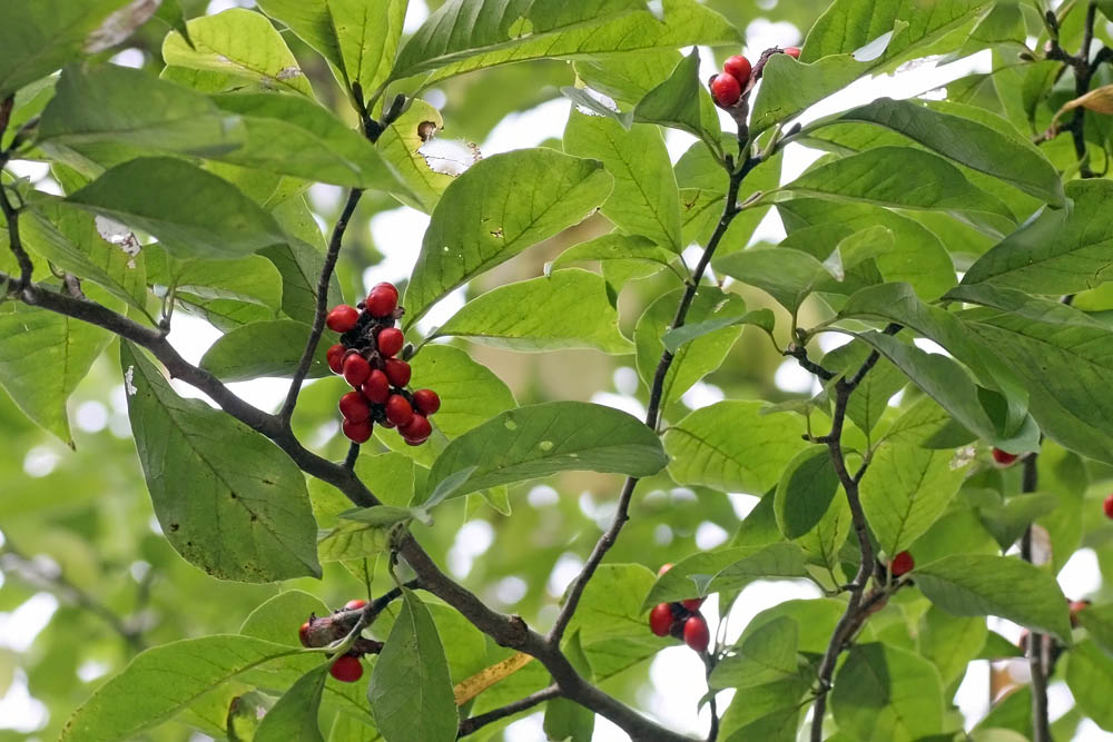 a0083081_1562249.jpg