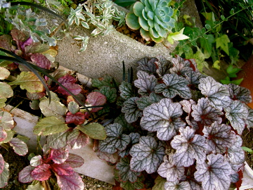 c0113883_19511560.jpg
