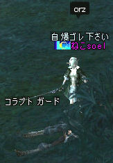 c0056384_16264931.jpg