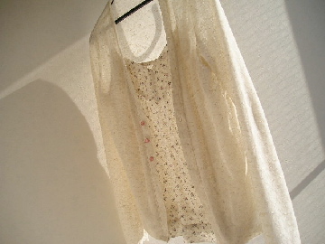 b0099185_9483676.jpg