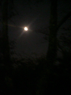 c0082785_1937397.jpg