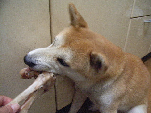 c0123890_20403117.jpg