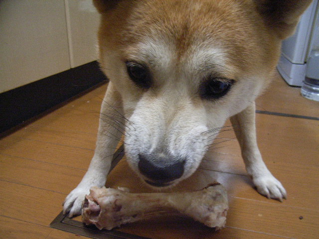 c0123890_20525149.jpg