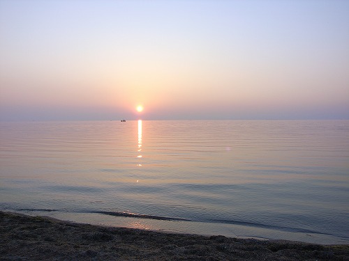 b0119493_20594022.jpg