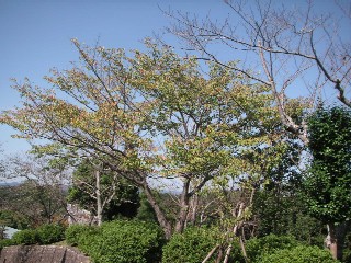 c0108693_2155411.jpg