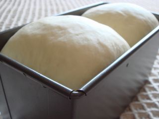 c0134496_1127916.jpg
