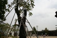 e0122199_01584.jpg