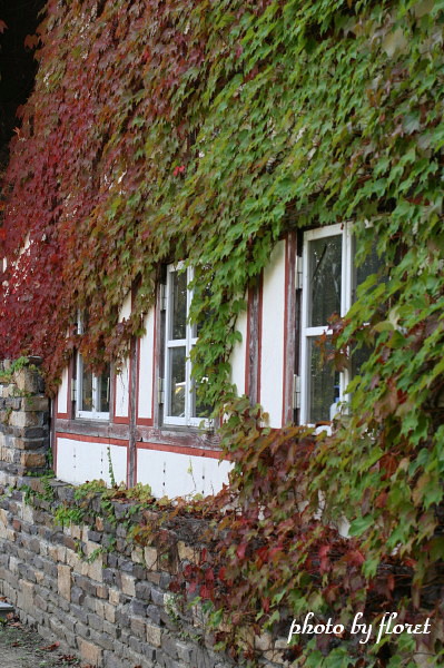 f0083400_18471143.jpg