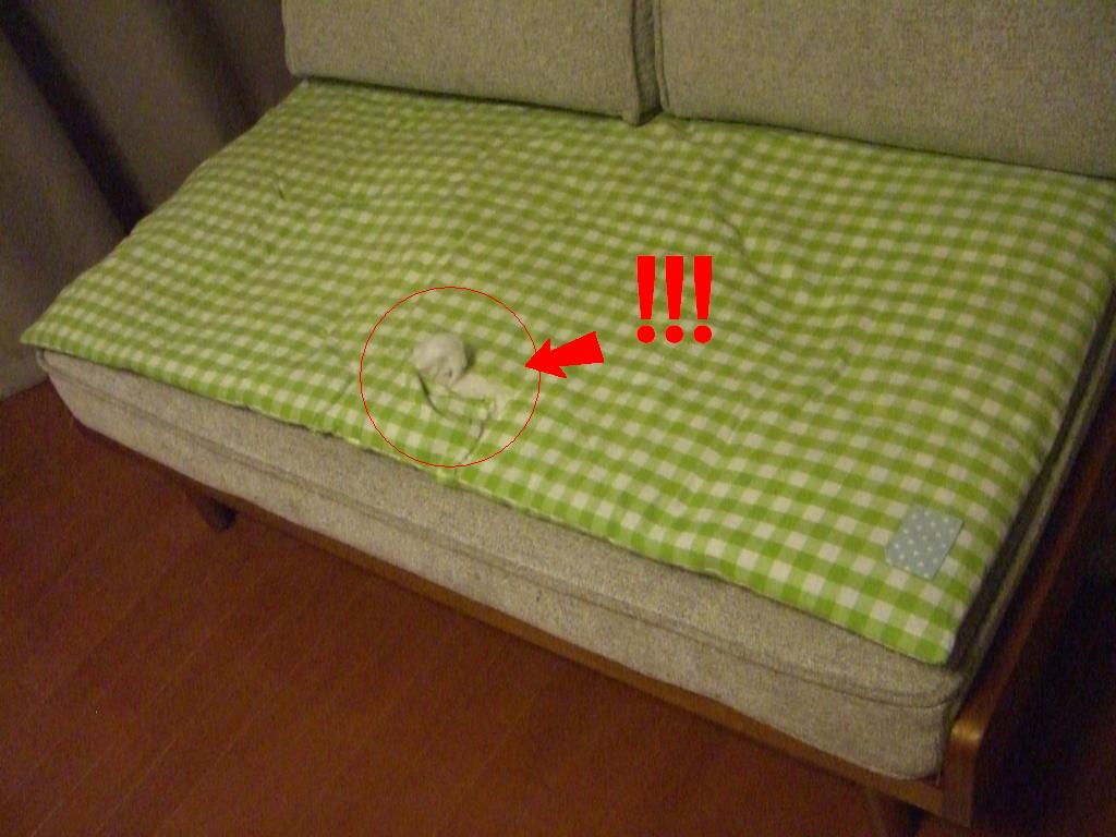 c0113109_2124242.jpg