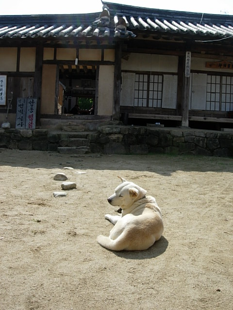 e0005411_10164074.jpg