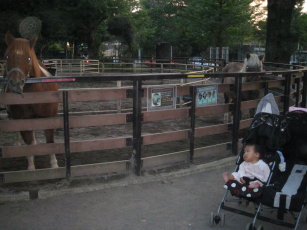 f0041311_0321511.jpg