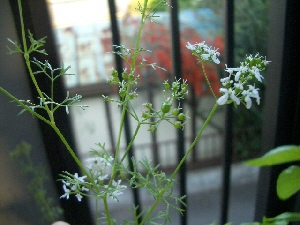 f0080316_23281233.jpg