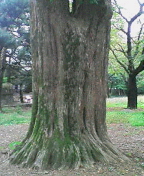 b0083918_2331719.jpg