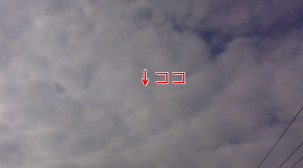 f0126418_921342.jpg
