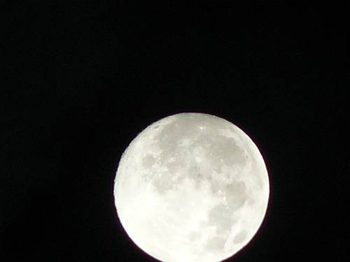 f0004019_19344539.jpg