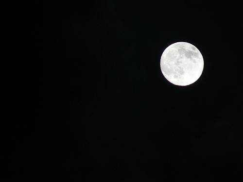 f0004019_19381397.jpg