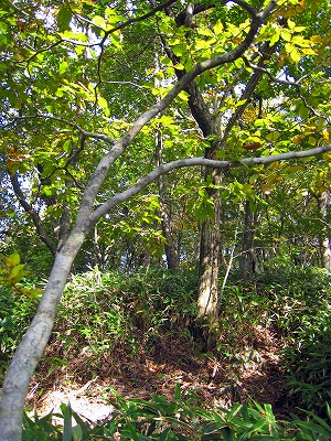 e0002820_1839344.jpg