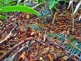 e0002820_18545712.jpg