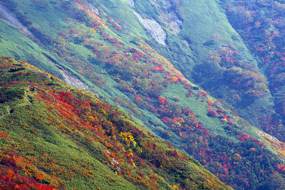 b0062024_20144340.jpg