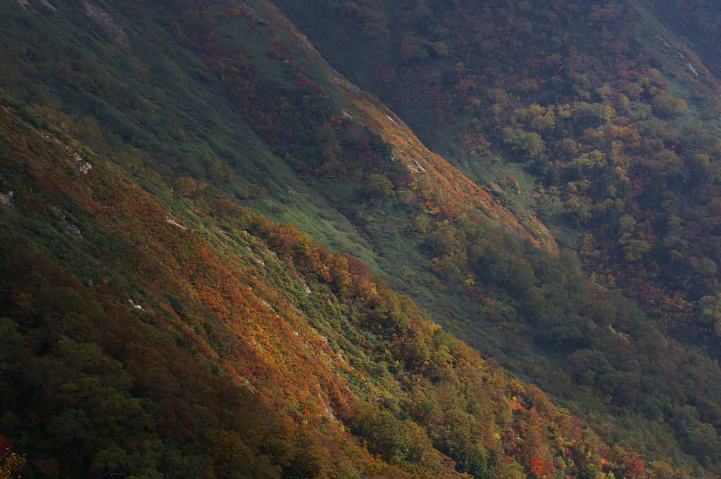 b0062024_2015116.jpg