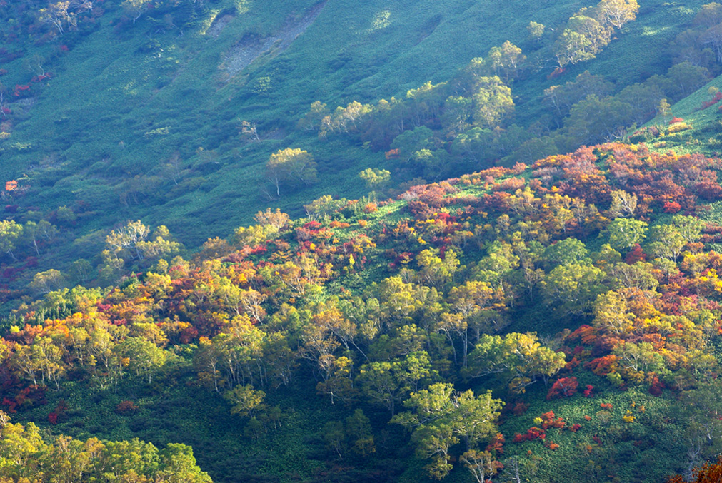 b0062024_2019468.jpg
