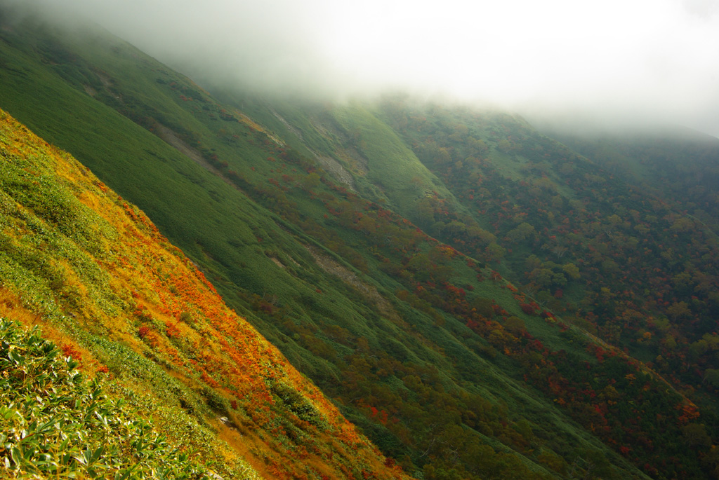 b0062024_20214470.jpg