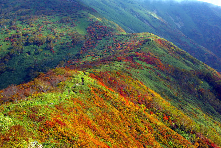 b0062024_20235510.jpg