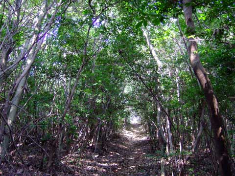 f0147025_18314095.jpg