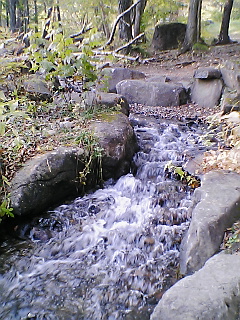 c0020526_23453410.jpg