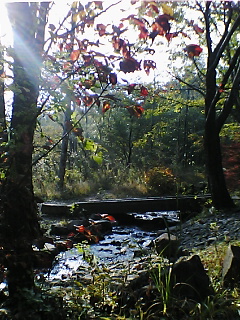 c0020526_23455057.jpg