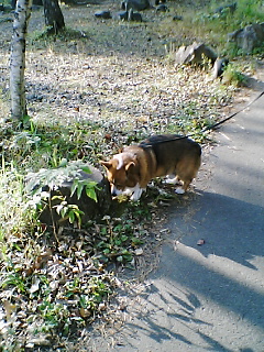 c0020526_2347763.jpg