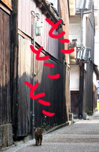 e0112226_12175218.jpg