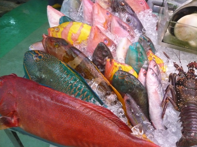 f0136326_1532513.jpg