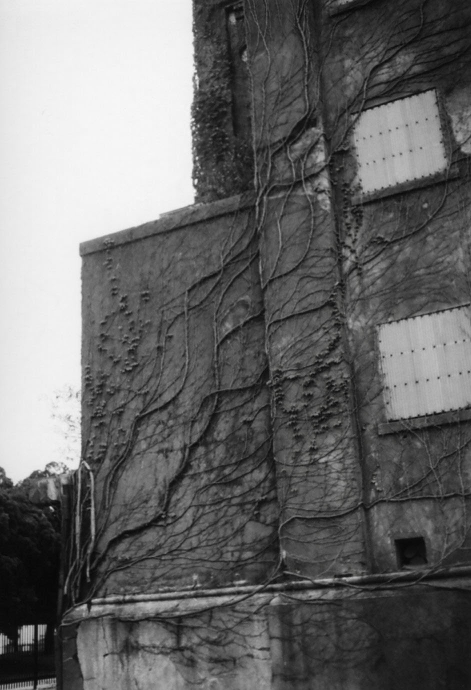 e0041329_13545886.jpg