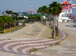 d0017632_20241649.jpg