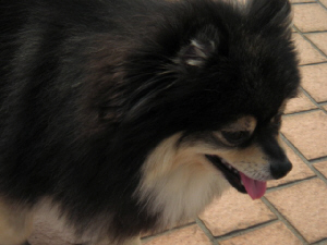 d0017632_20364894.jpg