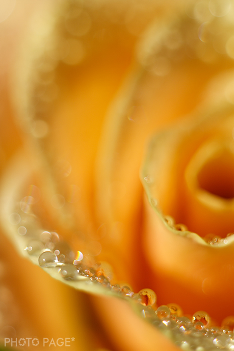 b0063234_23473351.jpg