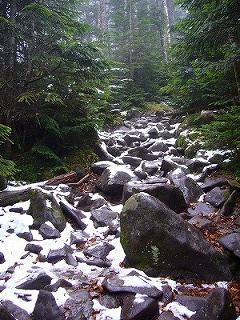 f0065941_22375676.jpg