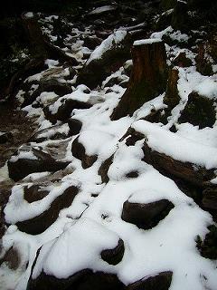 f0065941_22381145.jpg