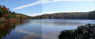 f0065941_7284979.jpg
