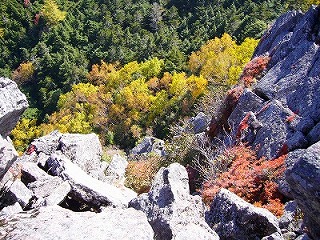 f0065941_7323527.jpg