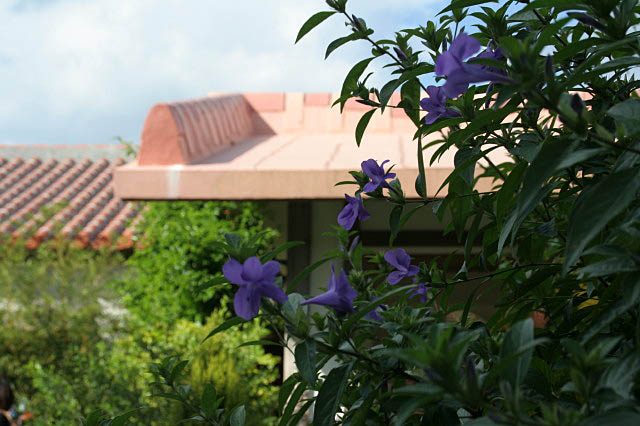 e0039744_1812048.jpg
