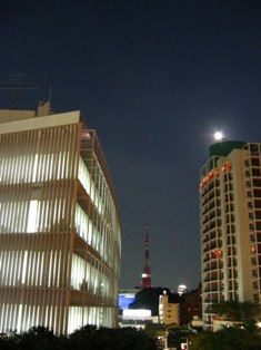a0094449_5353725.jpg