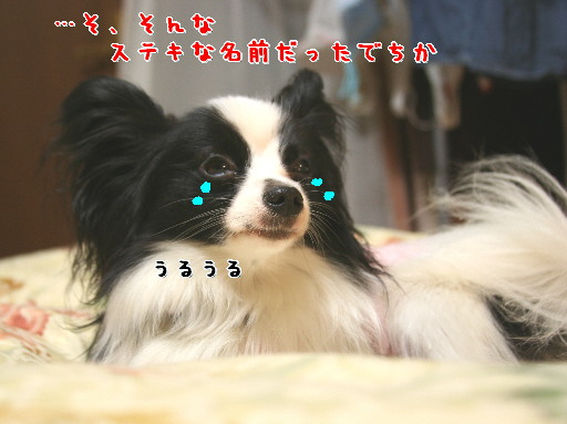 d0013149_284223.jpg