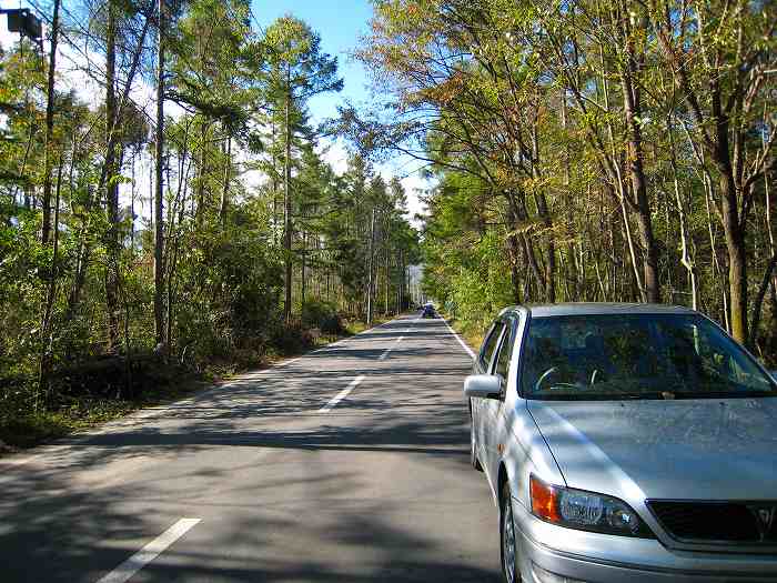 f0156960_1125551.jpg
