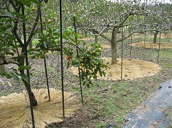 e0041168_9241376.jpg