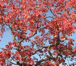 e0041168_9425641.jpg